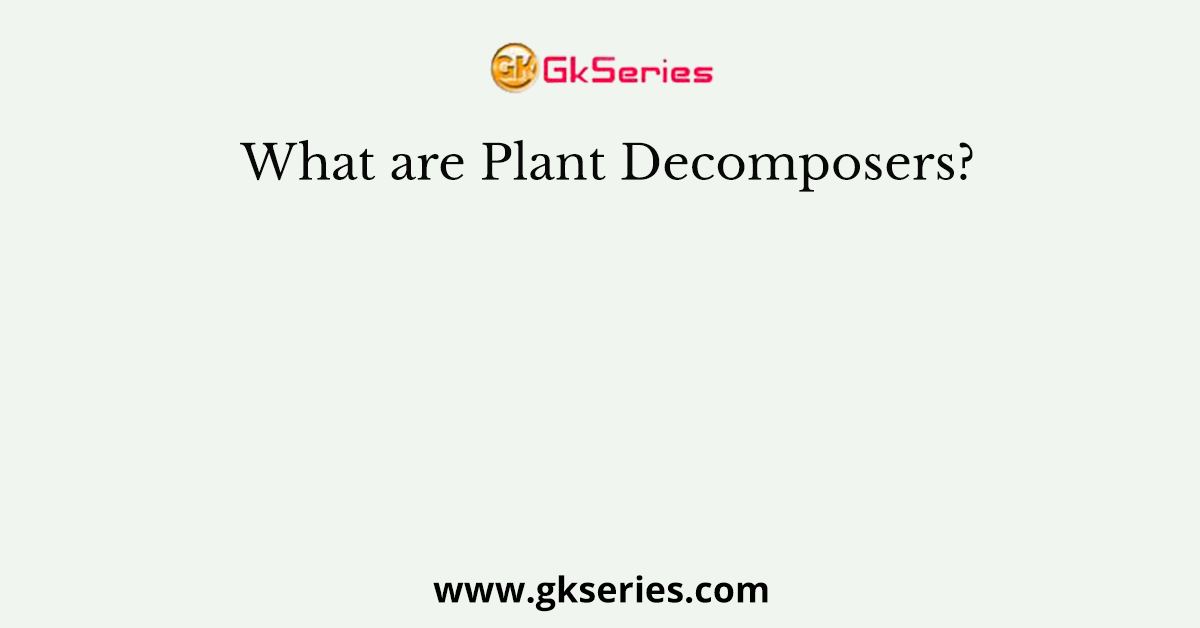 What are Plant Decomposers?