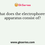What does the electrophoresis apparatus consist of?