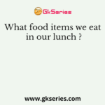 What food items we eat in our lunch ?