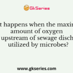 What happens when the maximum amount of oxygen in the upstream of sewage discharge is utilized by microbes?