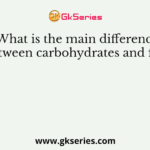 What is the main difference between carbohydrates and fats?