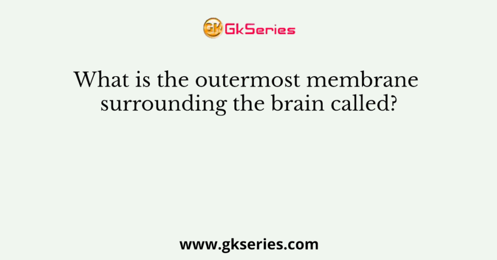 What is the outermost membrane surrounding the brain called?