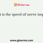 What is the speed of nerve impulse?
