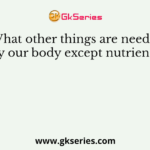 What other things are needed by our body except nutrients ?