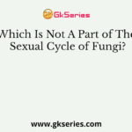 Which Is Not A Part of The Sexual Cycle of Fungi?