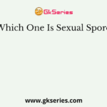 Which One Is Sexual Spore?