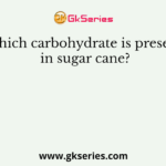 Which carbohydrate is present in sugar cane?