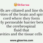 Which cells are ciliated and line the central cavities of the brain and spinal cord where they form a fairly permeable barrier between the cerebrospinal fluid that fills these cavities and the tissue cells of the CNS?