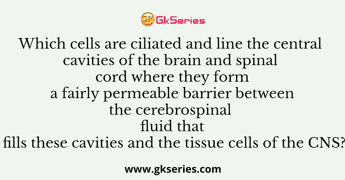 Which cells are ciliated and line the central cavities of the brain and spinal cord where they form a fairly permeable barrier between the cerebrospinal fluid that fills these cavities and the tissue cells of the CNS?