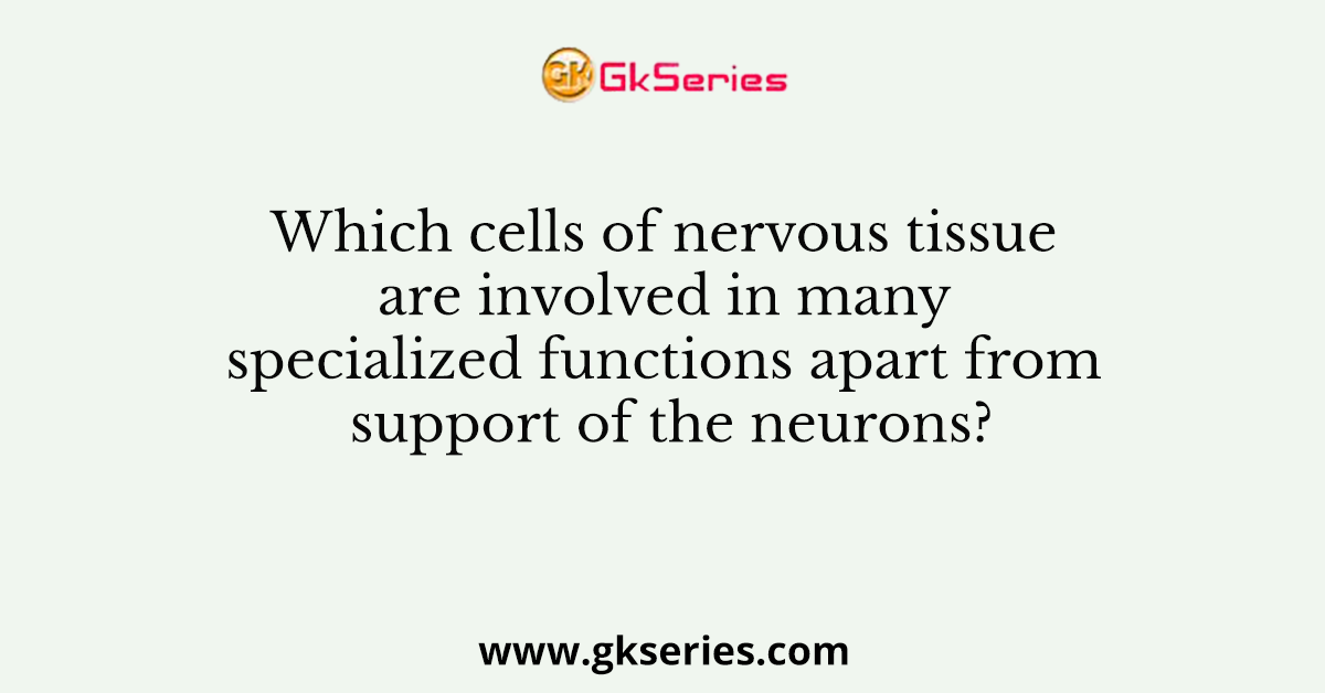 Which cells of nervous tissue are involved in many specialized functions apart from support of the neurons?