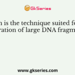 Which is the technique suited for the separation of large DNA fragments?