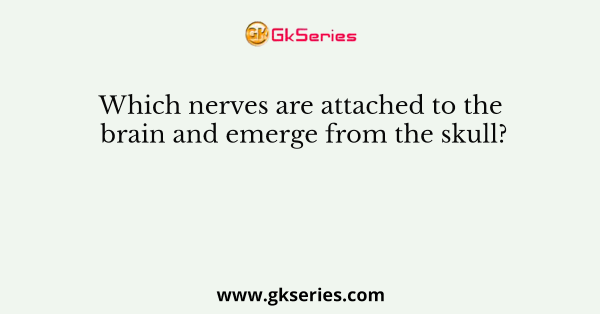 Which nerves are attached to the brain and emerge from the skull?