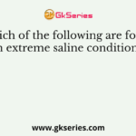 Which of the following are found in extreme saline conditions?