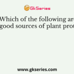 Which of the following are the good sources of plant proteins?