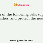 Which of the following cells supports, nourishes, and protect the neurons?