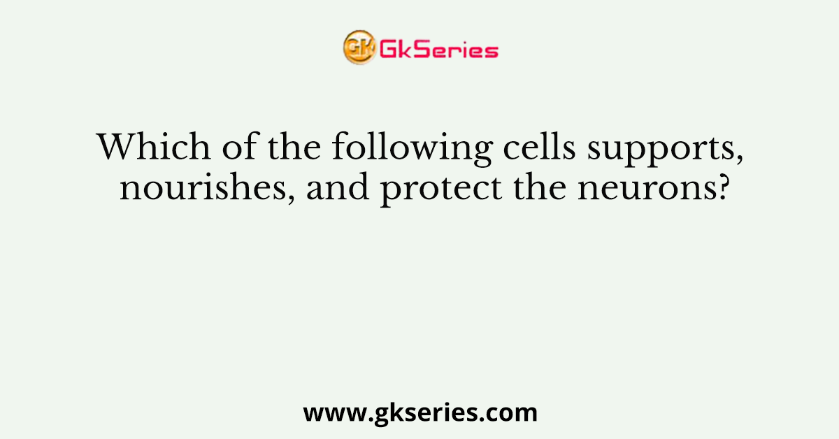 Which of the following cells supports, nourishes, and protect the neurons?