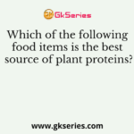 Which of the following food items is the best source of plant proteins?