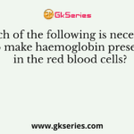Which of the following is necessary to make haemoglobin present in the red blood cells?
