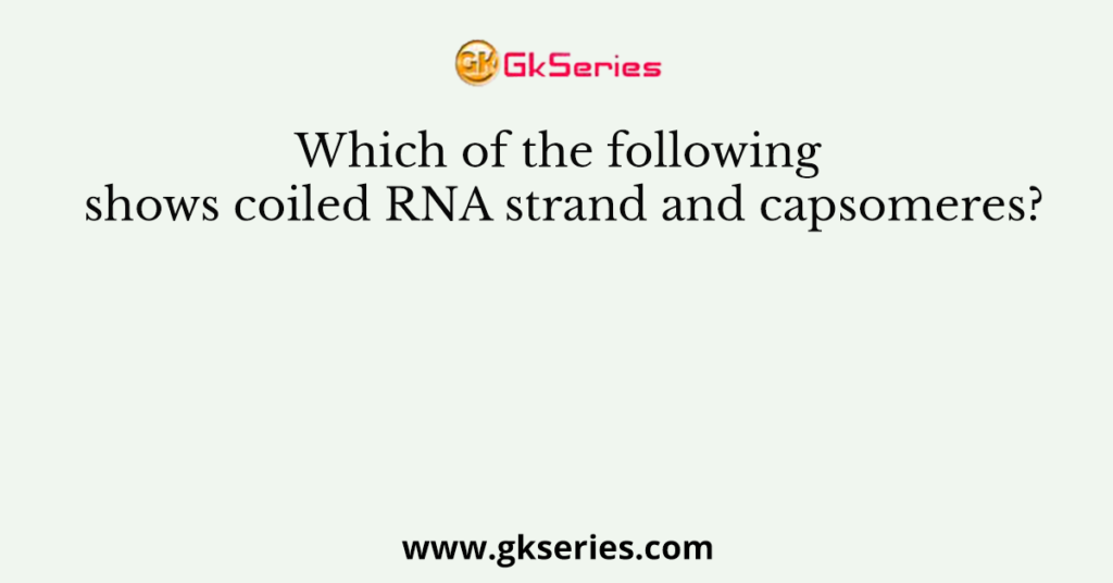 Which of the following shows coiled RNA strand and capsomeres?