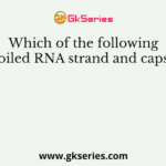 Which of the following shows coiled RNA strand and capsomeres?