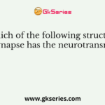 Which of the following structure at a synapse has the neurotransmitter?