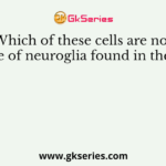 Which of these cells are not a type of neuroglia found in the CNS