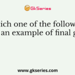 Which one of the following is not an example of final goods?