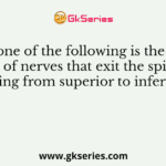 Which one of the following is the correct sequence of nerves that exit the spinal cord, going from superior to inferior