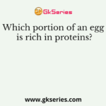Which portion of an egg is rich in proteins?