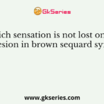 Which sensation is not lost on the side of lesion in brown sequard syndrome ?