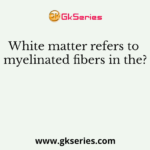 White matter refers to myelinated fibers in the