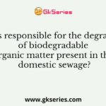 Who is responsible for the degradation of biodegradable organic matter present in the domestic sewage?