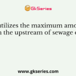 Who utilizes the maximum amount of oxygen in the upstream of sewage discharge?