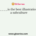 ______is the best illustration of a subculture