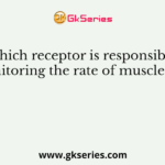 which receptor is responsible for monitoring the rate of muscle stretch ?