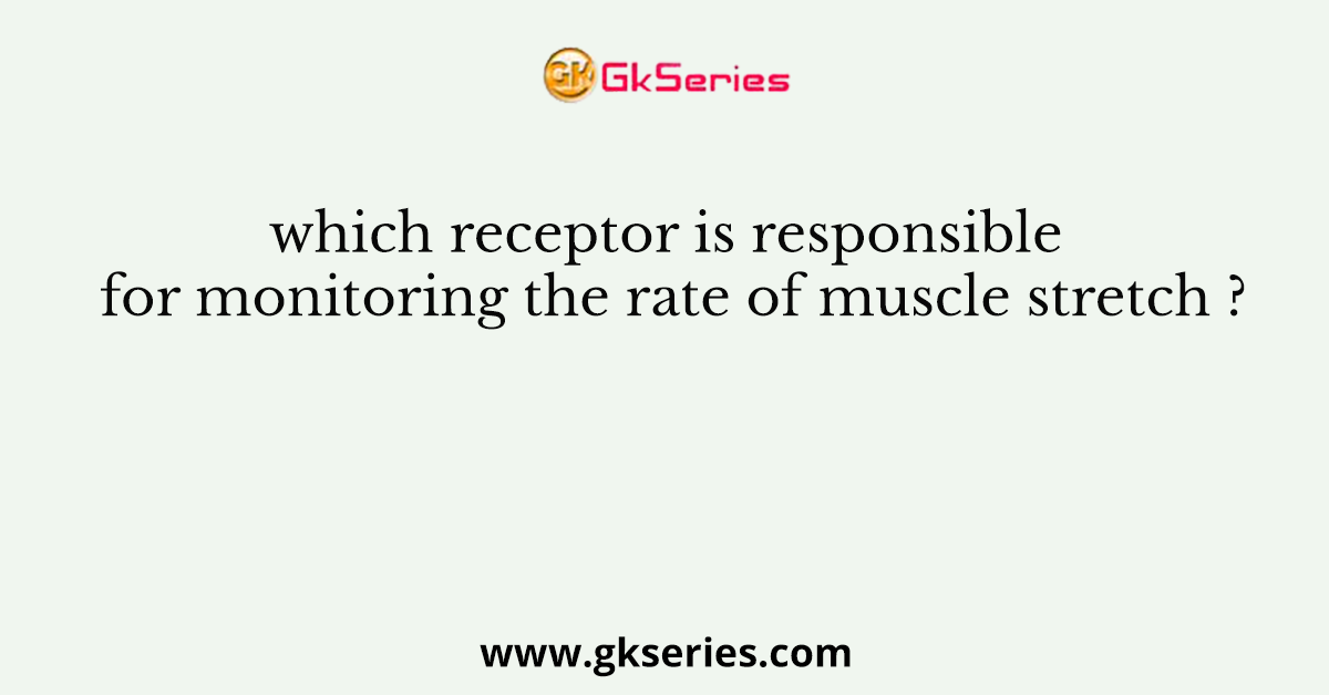 which receptor is responsible for monitoring the rate of muscle stretch ?