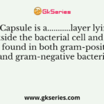 A Capsule is a...........layer lying outside the bacterial cell and can be found in both gram-positive and gram-negative bacteria