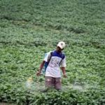 IFC launches financing platform to respond to global food crisis