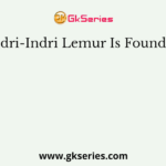 Indri-Indri Lemur Is Found In