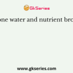 Peptone water and nutrient broth are