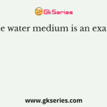 Peptone water medium is an example for