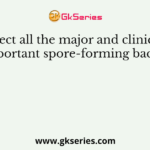 Select all the major and clinically important spore-forming bacteria