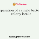 Separation of a single bacterial colony iscalle