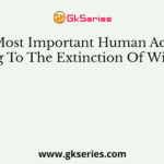 The Most Important Human Activity, Leading To The Extinction Of Wildlife, Is