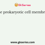 The prokaryotic cell membrane