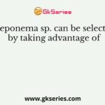Treponema sp. can be selected by taking advantage of