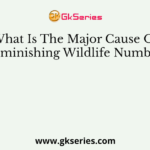 What Is The Major Cause Of Diminishing Wildlife Number?