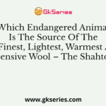 Which Endangered Animal Is The Source Of The World’s Finest, Lightest, Warmest And Most Expensive Wool – The Shahtoosh?