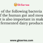 Which of the following bacteria is a part of the human gut and mouth flora that is also important in making some fermented dairy products?