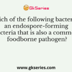 Which of the following bacteria is an endospore-forming bacteria that is also a common foodborne pathogen?